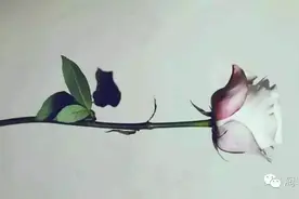 一篇情感回忆录：送给我唯一爱过的人图片