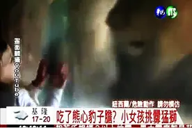小朋友千万不要学：新西兰小女孩挑衅狮子发怒！幸好躲在玻璃后！图片