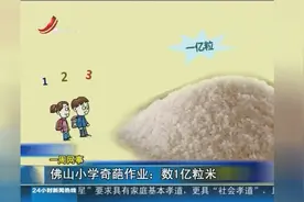 佛山小学奇葩作业 数1亿粒米视频封面