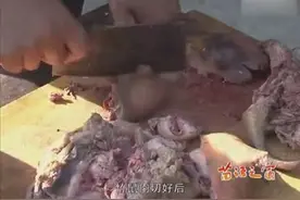 舌尖上的苗家美食，爆炒竹鼠视频封面