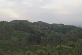 大师教你看什么是五星连珠风水宝地！视频封面