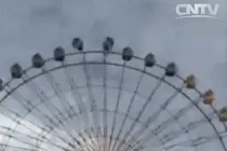 花了摩天轮的钱，做了过山车的事！图片