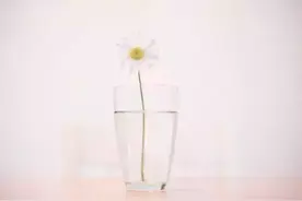 我不是没脾气，只是我很珍惜图片