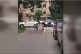 泰迪挑衅温顺的萨摩耶，被惹急眼了，当场把泰迪咬死图片