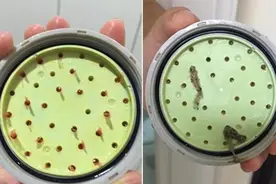 租屋的莲蓬头出现异物,跑出红色不明物体了,有点恶心啊图片