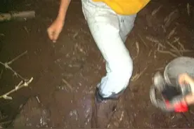 掉进沼泽！  救还是跑 如何抉择图片