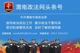 收容流浪犬（组图）图片