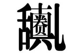 王宝强离婚，我该相信爱情还是该相信狗？图片
