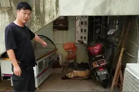 小男孩被疯狗追咬狂泣不止 抚州特警连发两枪将其击毙图片