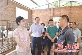 李静在仁寿县蹲点督导脱贫攻坚工作图片