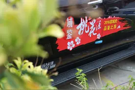 域鉴桃花源之旅 域虎带你发现身边的皮卡英雄图片