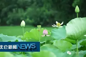 8月8日，北仑这些运动场馆免费开放！北仑新鲜事（8月5日）图片