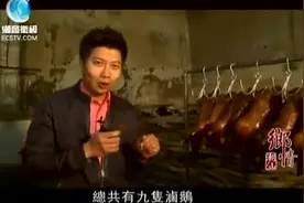 潮汕狮头鹅你可听过？带你去看看图片