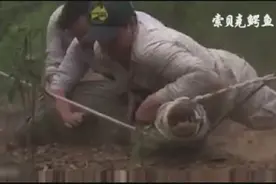 三条腿的鳄鱼也这么凶猛图片