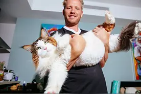20只世界最胖猫咪 你们抱得起吗？图片