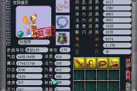 7红大海龟称霸东海湾，一个能打的都没有图片