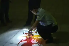 四川遂宁：张学友演唱会现黑飞无人机，被警方“击落”！视频封面