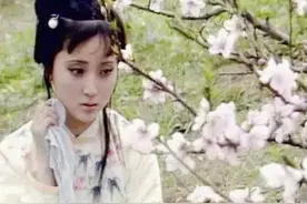 黛玉也幽默图片