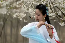 最美樱花代言人是她！图片
