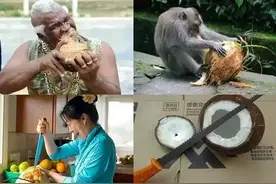 口香糖竟可以破开椰子！吓得牙掉了一地~图片