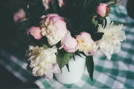​后来我看到的每一只狗都像你，只是都没你好看图片