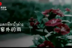 中泰翻唱之哈林《命中注定》，听听泰语原版的吧！《窗外的雨》！图片