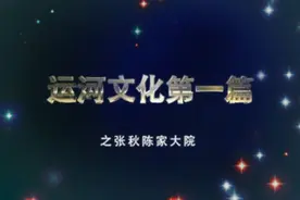 视频 | 聊城印记：因运河而繁华的张秋陈家大院图片