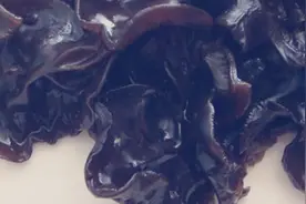 一盘木耳炒鸡蛋差点致命！探究出来的原因你是否忽略过？视频封面