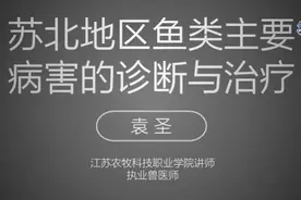 鳃出血，鲤鱼疱疹病毒病，竖鳞等苏北常见鱼病的诊断与治疗图片