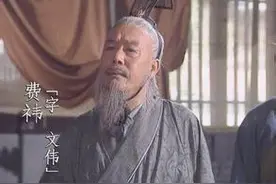 姜维传（6） 三国后期争议最大的历史人物连载  费祎遇刺图片