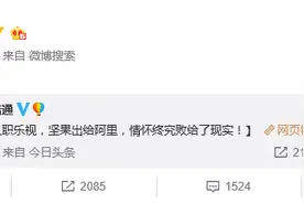 传乐视收购锤子科技 罗永浩否认图片