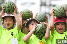 韩国托儿所组织小朋友体验摘西瓜，人小力气大画面超萌图片