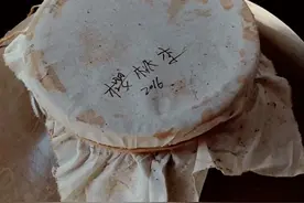 野樱桃李是地球上的果类活化石，把它封在缸里会如何呢？与野苹果和山杏不同，两年后，出来的是深琥珀……视频封面