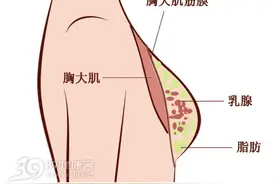 女性该不该练胸？教练推荐女性胸肌锻炼方法图片