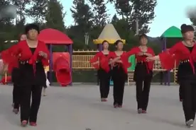 广场舞《相亲相爱一辈子》图片
