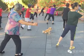 中国大妈图片