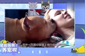 很多主人喜欢被狗舔，老司机来谈谈和狗狗过度亲密的后果视频封面