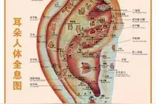 耳部按摩，简单五招捏出健康，刻不容缓图片