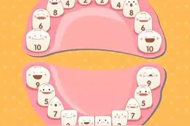 揭秘：宝宝长牙的时间和顺序图片