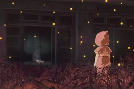 放飞萤火虫，浪漫？很残酷！图片