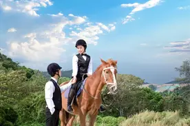 男人和女人来自不同的星球图片