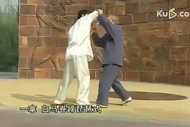 美妙背后有杀招：老爷子精解手挥琵琶的实战打法！图片