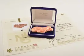 收藏级古董顶级雕工日本珊瑚锦鲤带留图片
