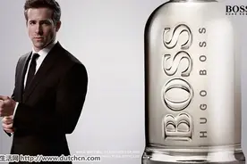 Boss还是Baas？细数那些从荷兰语演变过来的英文单词图片