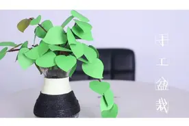 万物手工课堂——DIY绿植小盆栽图片