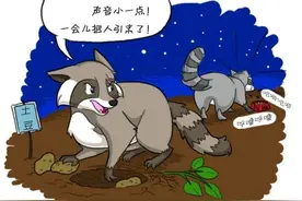 这么可爱而且会跳舞的浣熊你舍得惩罚它吗？图片