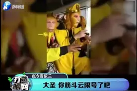 一车长得一模一样的“美猴王”驾车上高速！收费站小姐姐：吓一跳视频封面