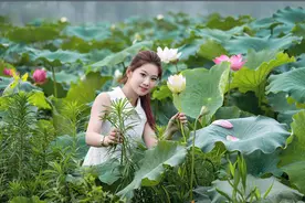 妩韵--人如莲花美，清纯不染尘图片