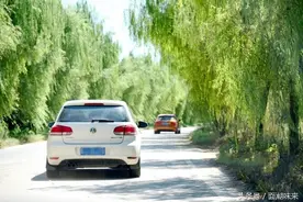 周末乡下进山抓鸡，煮公鸡炖母鸡，神仙日子啊！图片