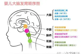 1-12月宝宝的智力测试,在家就可以操作！图片